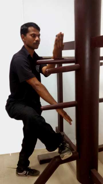 wing chun india